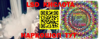 гашик Бузулук