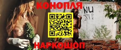 гашик Бузулук